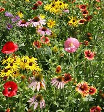 Wildflower mix bee for sale  Sevierville