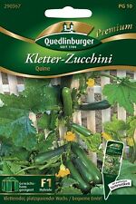 Kletterzucchini quine samen gebraucht kaufen  Pulheim