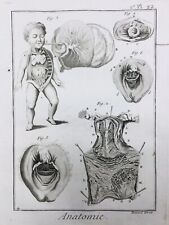 Anatomia IN 1779 Ginecologia Hymen Gravura Rara Medicina Enciclopédie Diderot comprar usado  Enviando para Brazil