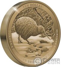 Kiwi moneta oro usato  Ciampino