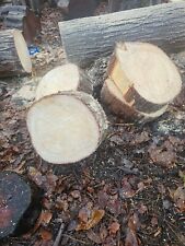 Wood logs sale for sale  HUDDERSFIELD