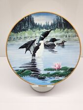 1992 loon collector for sale  Petersburg