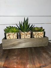 Succulent tray for sale  Strandquist