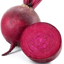 Giant beetroot seeds for sale  CHESTERFIELD