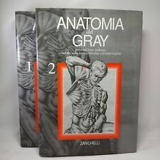 Anatomia del gray usato  Bologna