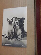 Postcard animals shetland for sale  ROSSENDALE
