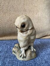 teviotdale owls for sale  EXETER