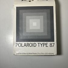 Filme Polaroid tipo 87 Land Pack 8 estampas em preto e branco comprar usado  Enviando para Brazil