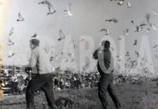 Vintage volatili piccioni usato  Roma