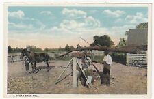 EUA; A Sugar Cane Mill, Horse Powered, NC PPC By Carolina Card Co, não publicado comprar usado  Enviando para Brazil