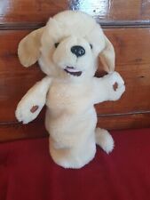 Puppet company labrador for sale  BALLYMONEY