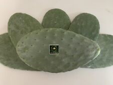 Opuntia prickly pear for sale  SOUTH BRENT