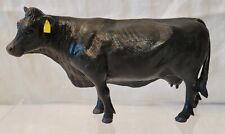 Black angus cow for sale  Buchanan