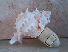 Pink murex shell for sale  Federalsburg