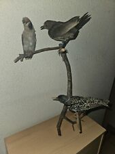 Ancienne taxidermie merle d'occasion  Dole