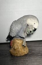 African grey parrot for sale  Kalamazoo