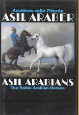 Asil arabians noble for sale  Destin