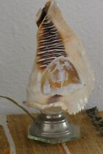 Antique shell cameo for sale  WOKING