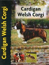 Cardigan welsh corgi for sale  UK