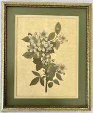 Botanical framed print for sale  Kissimmee