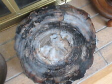 large arizona petrified wood for sale  San Jose