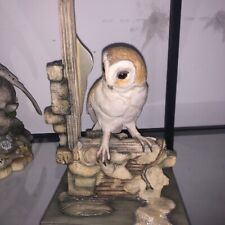 teviotdale owls for sale  TELFORD