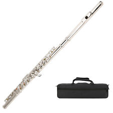 Hole flute concert for sale  UK