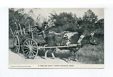 Cartão postal North Scituate MA, fazendeiro Alpheus Litchfield carrinho de boi dirigindo, feno, usado comprar usado  Enviando para Brazil