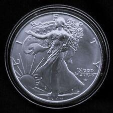 2024 american silver usato  San Dona Di Piave