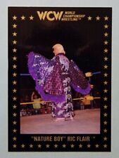 1991 wcw champion for sale  Asheville