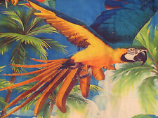 Hawalili huge parrot for sale  San Jose
