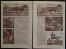 Harness horse racing for sale  Diamond Point