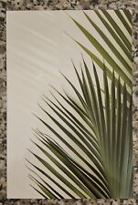 palme kunstpalme gebraucht kaufen  Althengstett