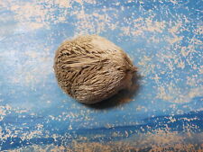 Ouriço-do-mar (batata-do-mar) Echinocardium cordatum 48,94 mm da Grécia, usado comprar usado  Enviando para Brazil