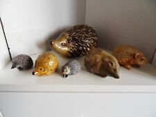 Collection six hedgehog for sale  SALISBURY