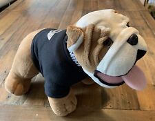 Spike english bulldog for sale  WALSALL