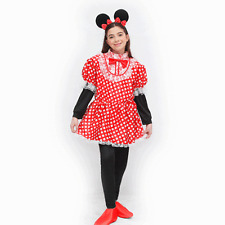 Minnie topolina costume usato  Villasalto