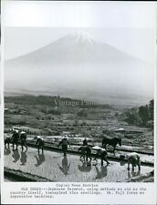 1968 japanese farmers for sale  Germantown