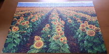 Ravensburger puzzle sonnenblum gebraucht kaufen  Herscheid