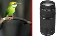 EXCELENTE teleobjetivo zoom Canon EF 75-300 mm f/4-5,6 III para T5 T6 T7 T7i T6i SL3 segunda mano  Embacar hacia Argentina