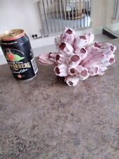 Barnacle pink cluster for sale  HATFIELD