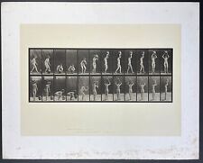 EADWEARD MUYBRIDGE NUDE FEMALE Lifting Amphora Animal Locomotion Collotype 1887 for sale  Brooklyn