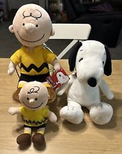 Peluche Charlie Brown and Snoopy Peanuts, usado segunda mano  Embacar hacia Argentina