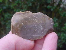 Neanderthal palaeolithic denti for sale  RINGWOOD