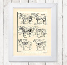 Poster print horse for sale  Mifflinburg