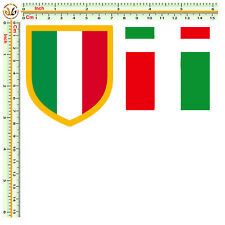 Bandiera italia scudetto usato  Roma