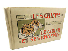 Mimard bachon chiens d'occasion  Coulaines