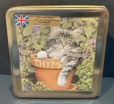 Kitten thyme square for sale  UK