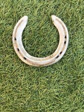 Aluminium racehorse shoe for sale  DARTMOUTH