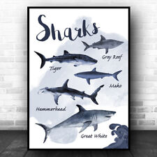 Types shark children for sale  UK